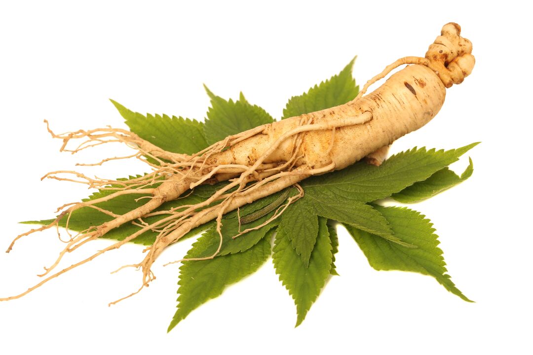 Ginseng - un elemento della composizione Alfazone