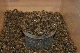 Bee scavato per aumentare la potenza