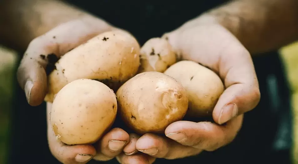 Patate per potenza